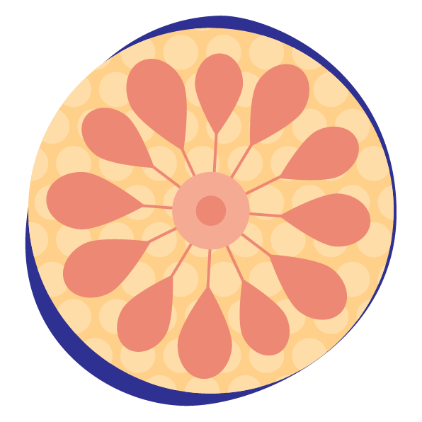 Ειδικό Υπερηχογράφημα μαστών