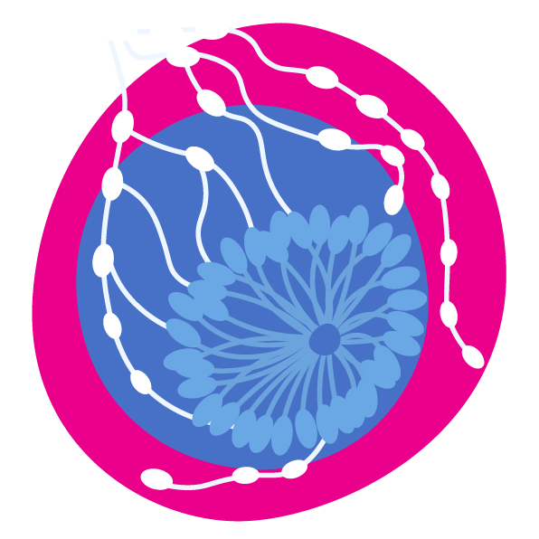 Ψηφιακή Μαστογραφία Hologic